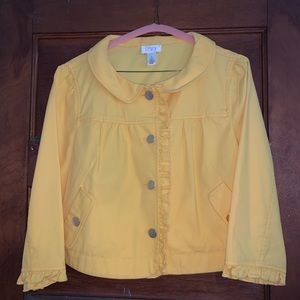 Ann Taylor Loft Ruffle Trim Cropped Jacket